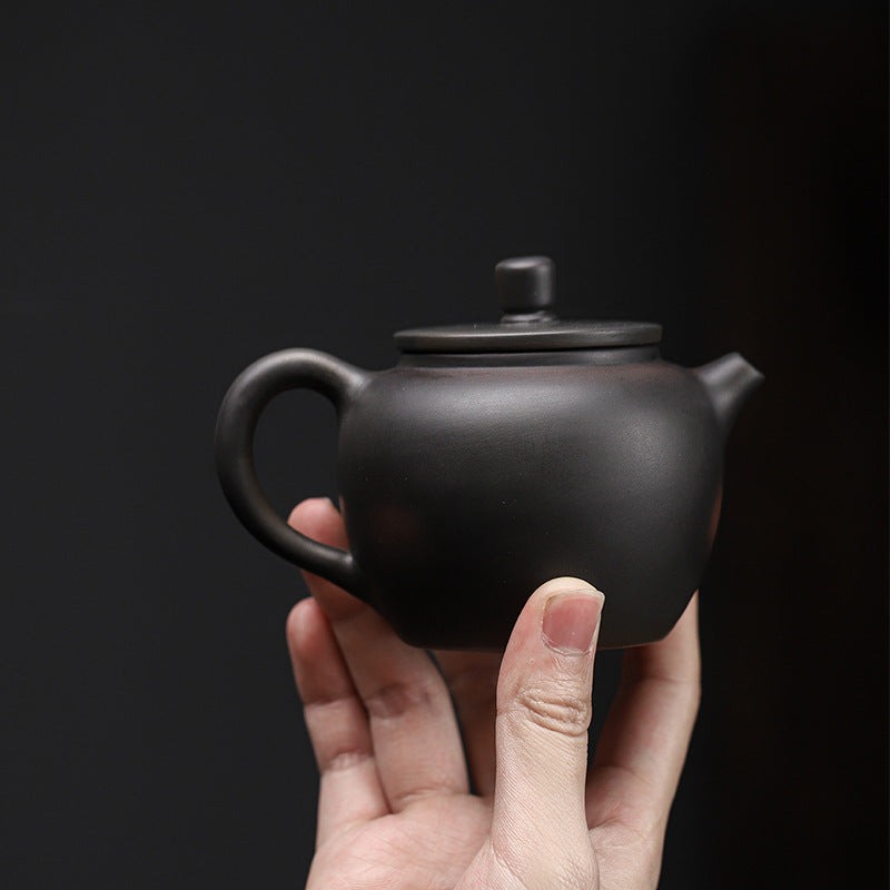 Chinese Handmade Enameled Cast Iron Small Teapot