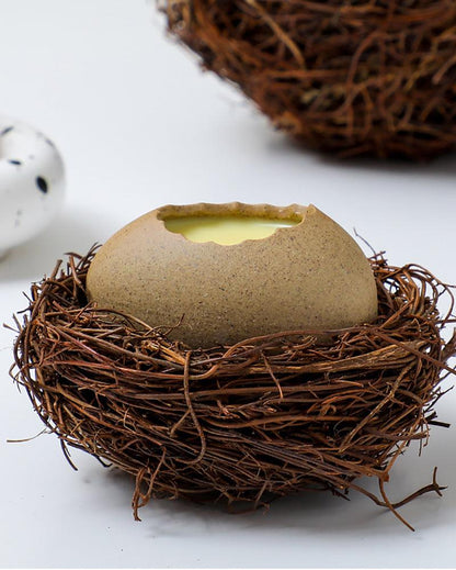 Nest &amp; Egg Design Ceramic Plate - gloriouscollection